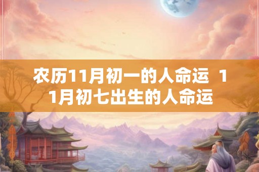 农历11月初一的人命运  11月初七出生的人命运