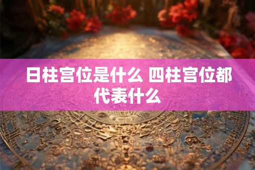 日柱宫位是什么 四柱宫位都代表什么