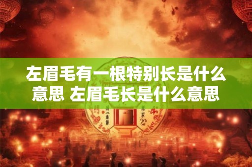 左眉毛有一根特别长是什么意思 左眉毛长是什么意思 左眉毛有一根特别长是什么意思 左眉毛长是什么意思