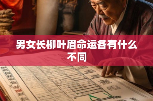 男女长柳叶眉命运各有什么不同