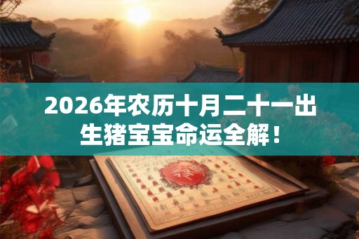 2026年农历十月二十一出生猪宝宝命运全解！