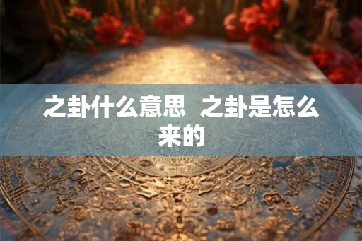 之卦什么意思  之卦是怎么来的