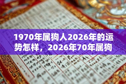 1970年属狗人2026年的运势怎样，2026年70年属狗人的全年运势