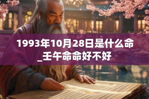 1993年10月28日是什么命_壬午命命好不好