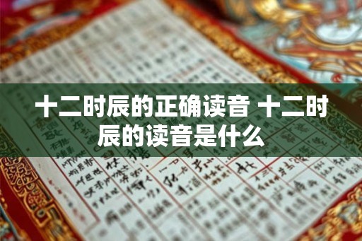 十二时辰的正确读音 十二时辰的读音是什么