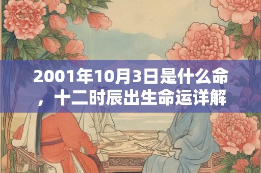 2001年10月3日是什么命，十二时辰出生命运详解