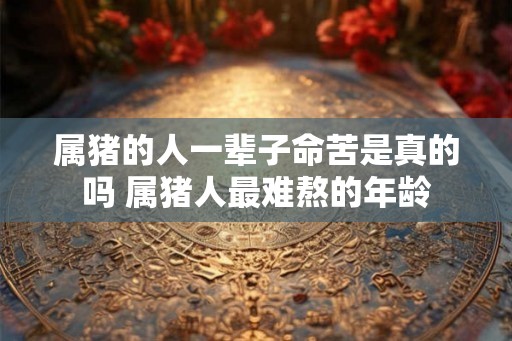 属猪的人一辈子命苦是真的吗 属猪人最难熬的年龄