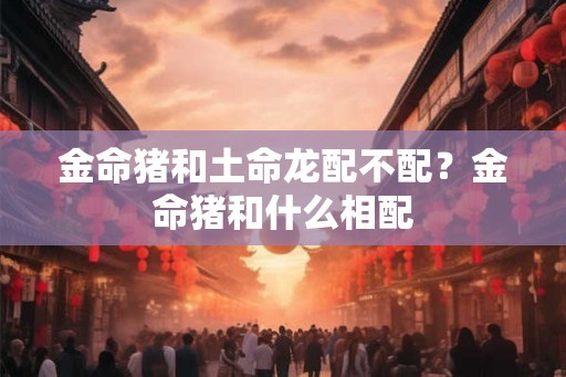 金命猪和土命龙配不配？金命猪和什么相配