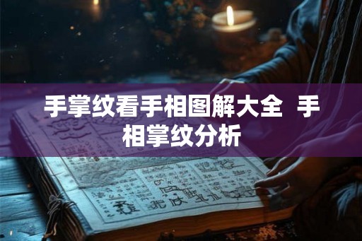 手掌纹看手相图解大全  手相掌纹分析