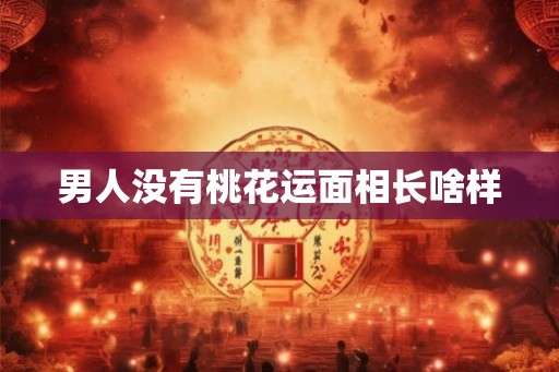 男人没有桃花运面相长啥样