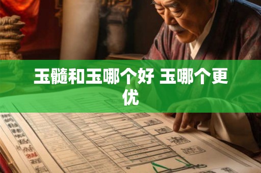 玉髓和玉哪个好 玉哪个更优