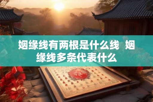姻缘线有两根是什么线  姻缘线多条代表什么