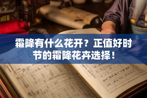 霜降有什么花开？正值好时节的霜降花卉选择！