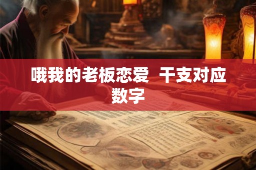 哦我的老板恋爱  干支对应数字