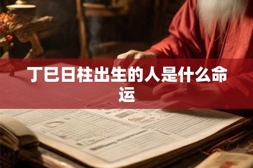 丁巳日柱出生的人是什么命运