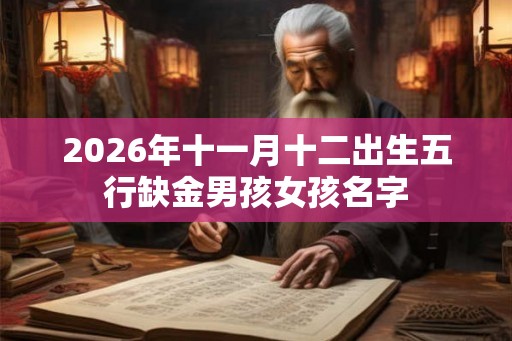 2026年十一月十二出生五行缺金男孩女孩名字