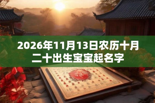 2026年11月13日农历十月二十出生宝宝起名字