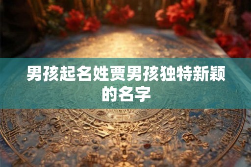 男孩起名姓贾男孩独特新颖的名字