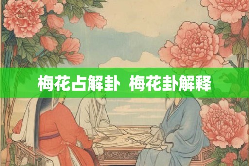 梅花占解卦  梅花卦解释