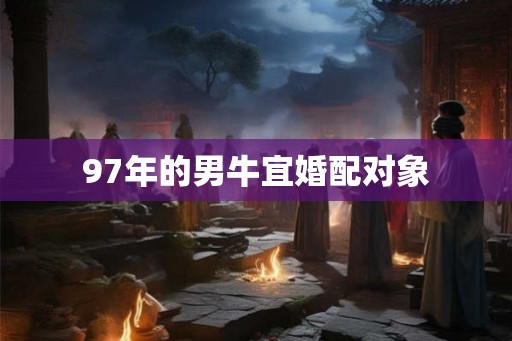 97年的男牛宜婚配对象