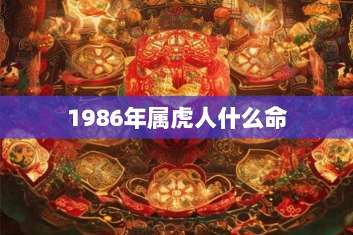 1986年属虎人什么命