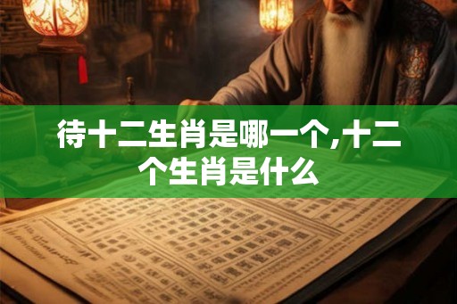 待十二生肖是哪一个,十二个生肖是什么