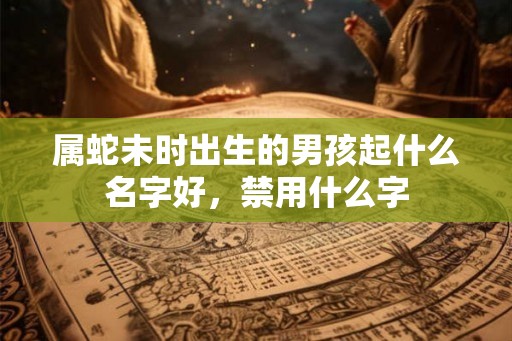 属蛇未时出生的男孩起什么名字好，禁用什么字
