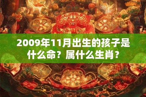 2009年11月出生的孩子是什么命？属什么生肖？