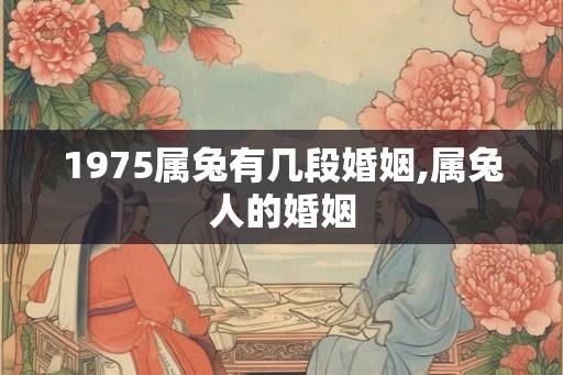 1975属兔有几段婚姻,属兔人的婚姻