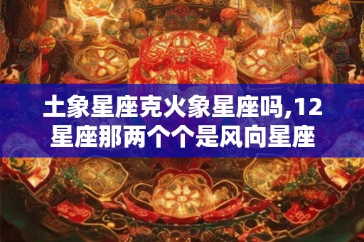 土象星座克火象星座吗,12星座那两个个是风向星座