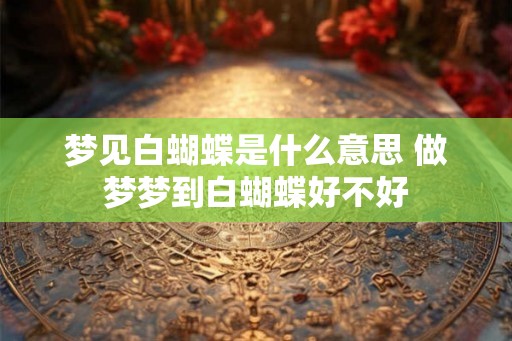 梦见白蝴蝶是什么意思 做梦梦到白蝴蝶好不好 梦见白蝴蝶是什么意思 做梦梦到白蝴蝶好不好