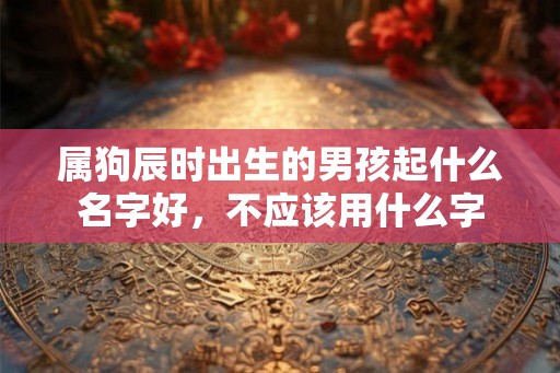属狗辰时出生的男孩起什么名字好，不应该用什么字