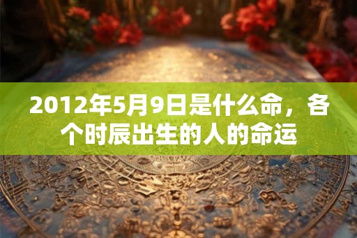 2012年5月9日是什么命，各个时辰出生的人的命运
