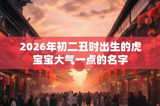 2026年初二丑时出生的虎宝宝大气一点的名字