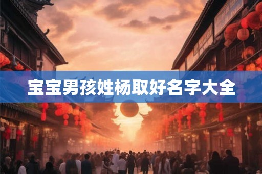 宝宝男孩姓杨取好名字大全