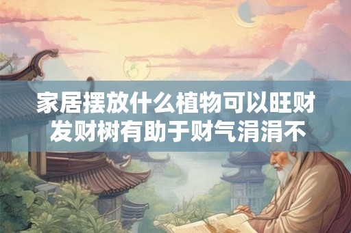 家居摆放什么植物可以旺财 发财树有助于财气涓涓不息