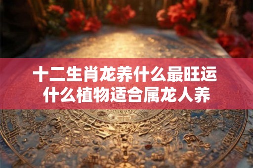 十二生肖龙养什么最旺运 什么植物适合属龙人养 十二生肖龙养什么最旺运 什么植物适合属龙人养