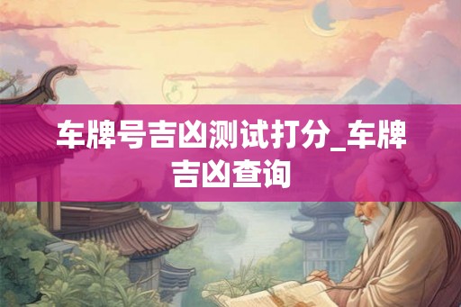 车牌号吉凶测试打分_车牌吉凶查询