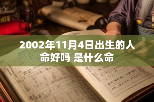 2002年11月4日出生的人命好吗 是什么命