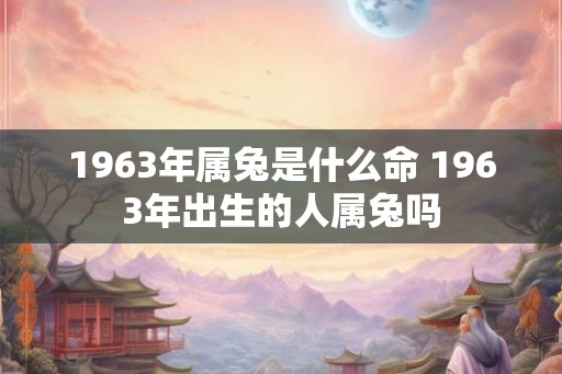 1963年属兔是什么命 1963年出生的人属兔吗 1963年属兔是什么命 1963年出生的人属兔吗