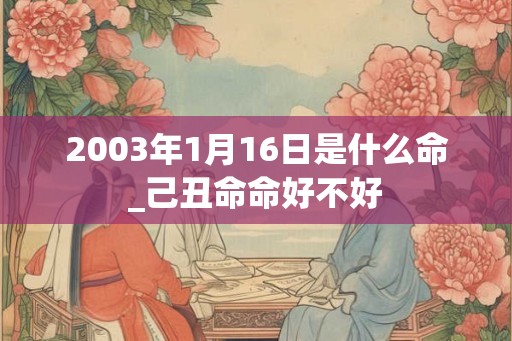 2003年1月16日是什么命_己丑命命好不好