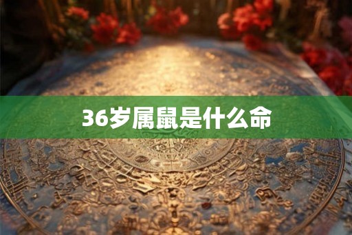 36岁属鼠是什么命