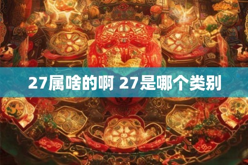 27属啥的啊 27是哪个类别
