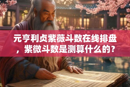 元亨利贞紫薇斗数在线排盘，紫微斗数是测算什么的？