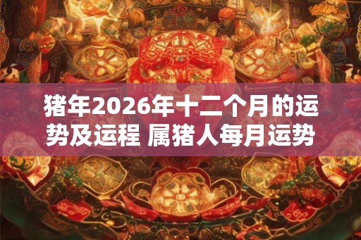 猪年2026年十二个月的运势及运程 属猪人每月运势