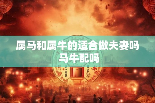 属马和属牛的适合做夫妻吗 马牛配吗