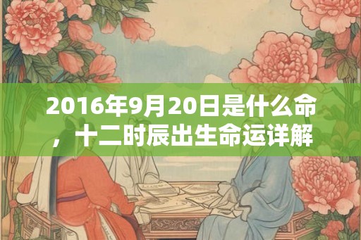 2016年9月20日是什么命，十二时辰出生命运详解