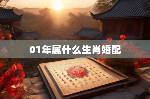 01年属什么生肖婚配