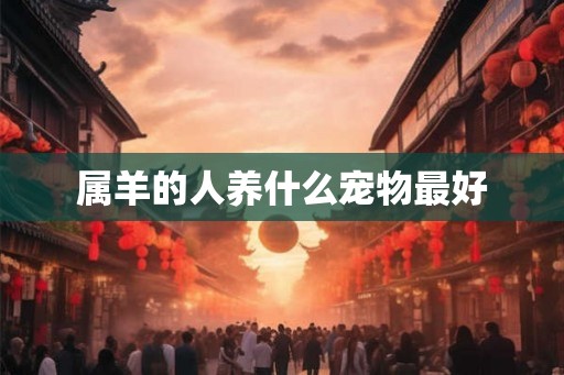 属羊的人养什么宠物最好