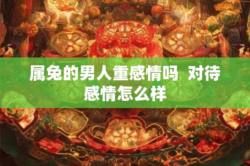 属兔的男人重感情吗  对待感情怎么样